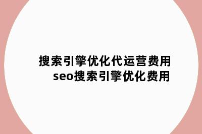 搜索引擎优化代运营费用 seo搜索引擎优化费用